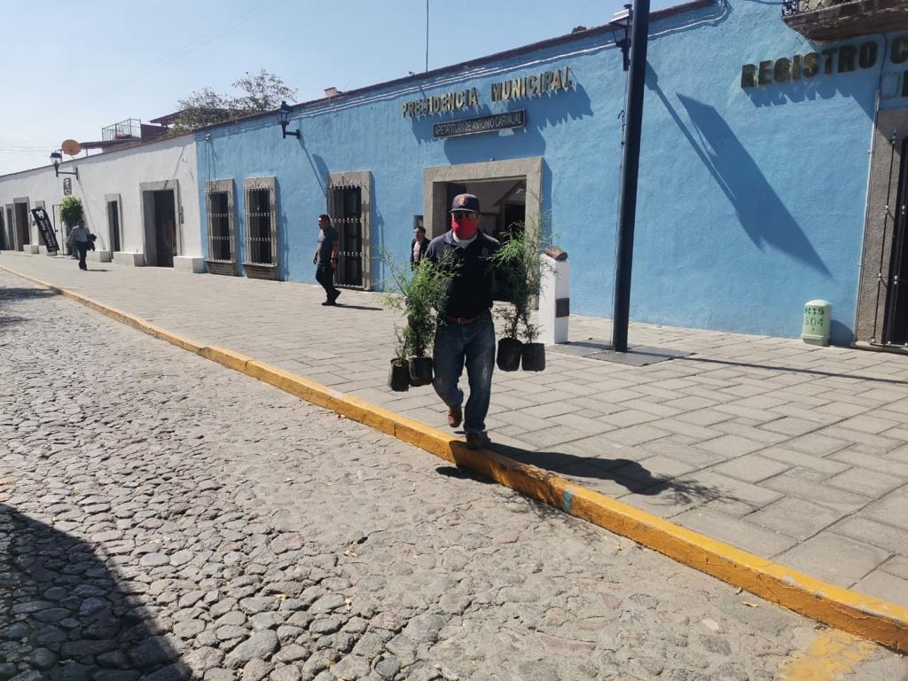 Promueve Ayuntamiento de Apetatitlán reforestación de áreas verdes y reservas ecológicas